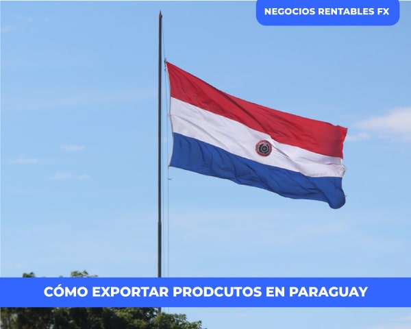 exportar en Paraguay