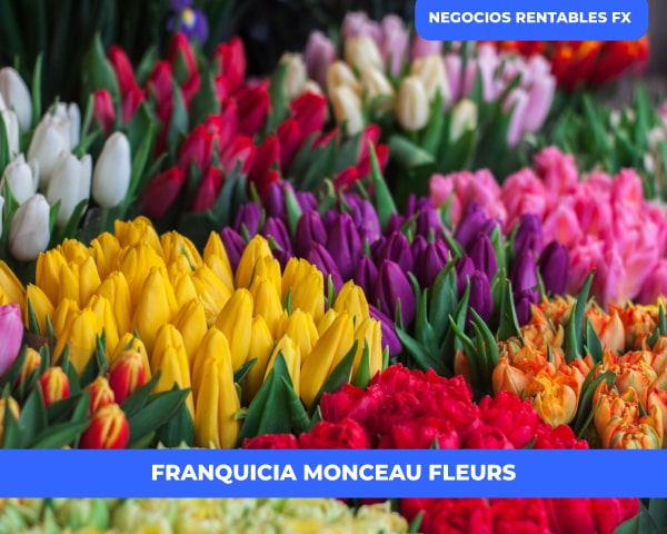 negocio flores Monceau Fleurs