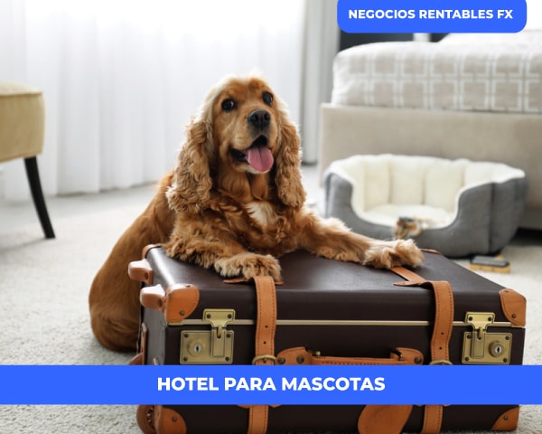 iniciar hotel para mascotas