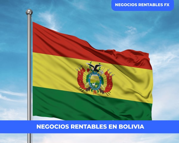 Negocios rentables en La Paz Bolivia