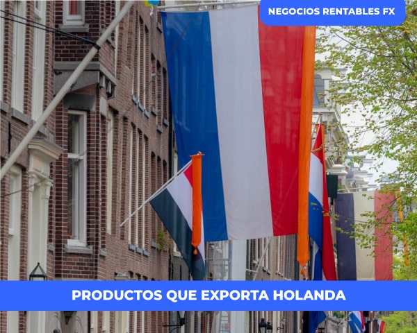 Productos exporta Holanda