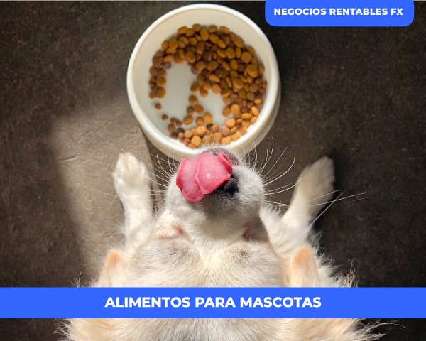 Competidores Perezoso Banco de iglesia Tienda de alimentos para mascotas - Guía de inicio, Plan de negocio 2022