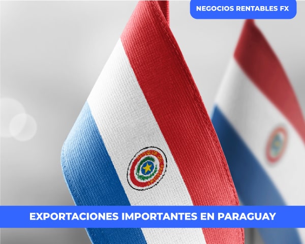 exportaciones paraguay