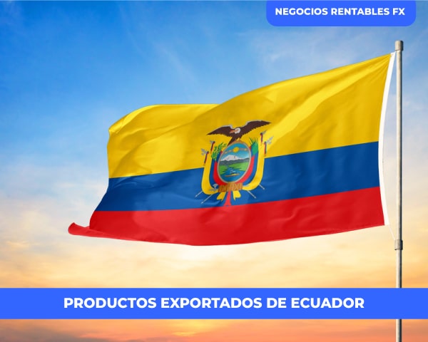 exportacion en ecuador